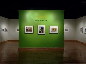 Calle De Luz - Street of Light